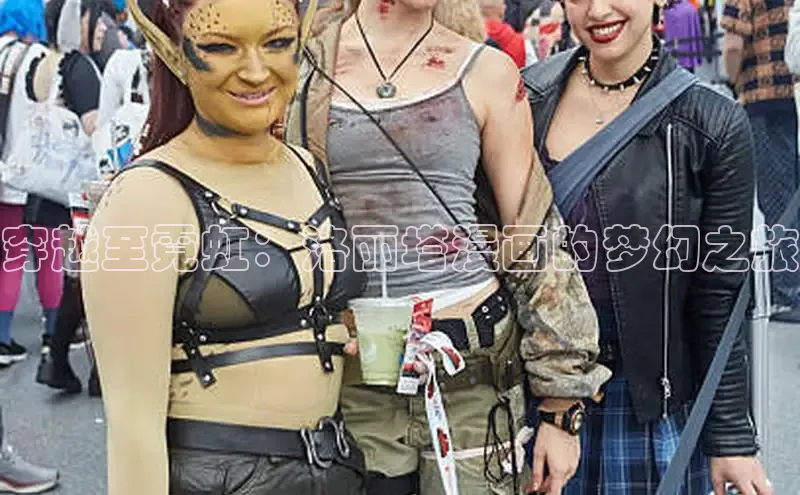 51动画网页版官网