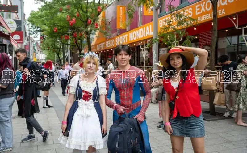 51动画网页版官网